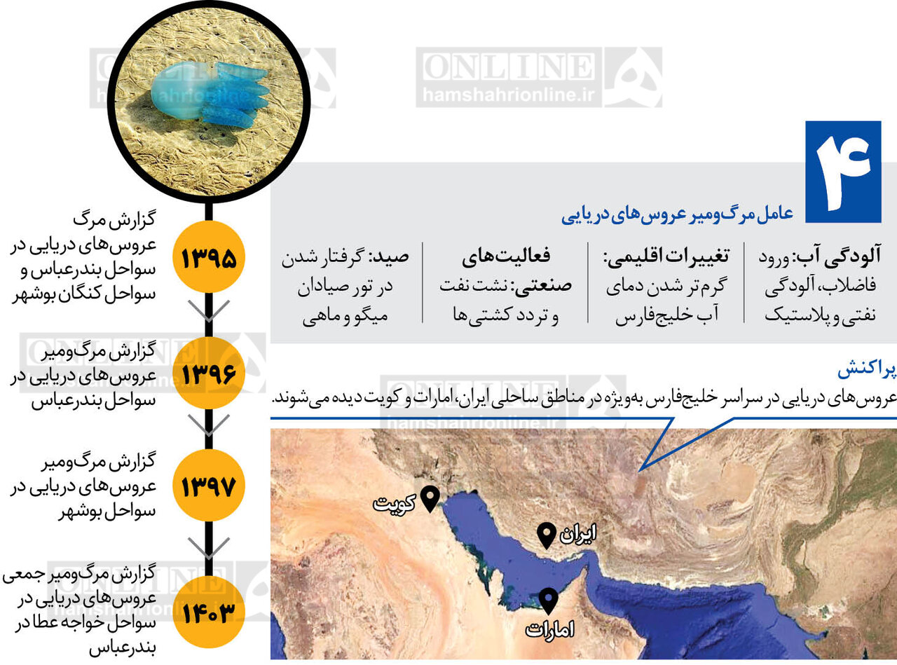 مرگ اسرارآمیز عروس‌های خلیج‌فارس  + اینفوگرافیک