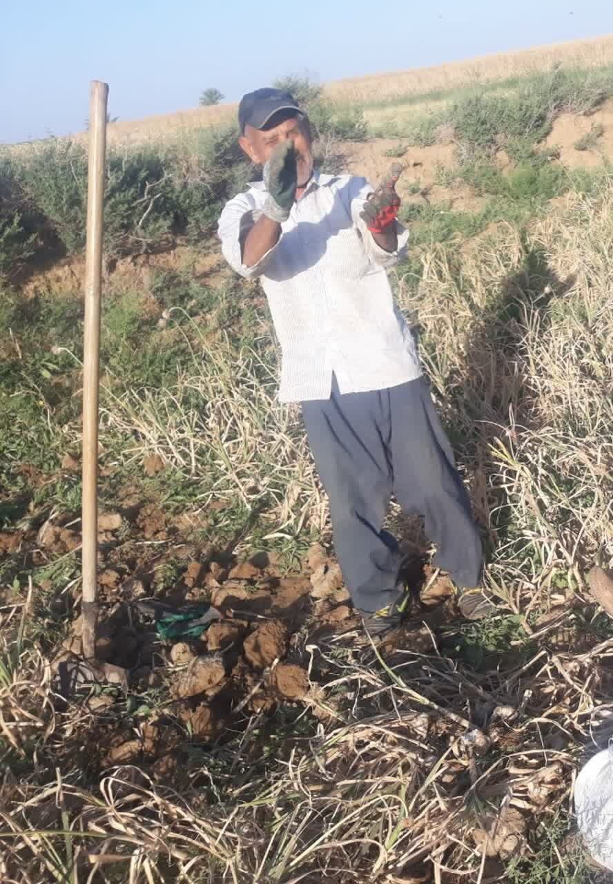 ناگفتههای مرد ۸۵ ساله از ۴۸ ساعت سرگردانی در کوه