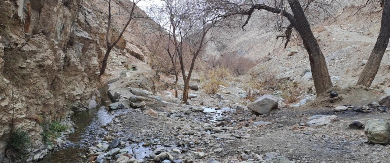 درهنوردی در ییلاق پاییزی تهران