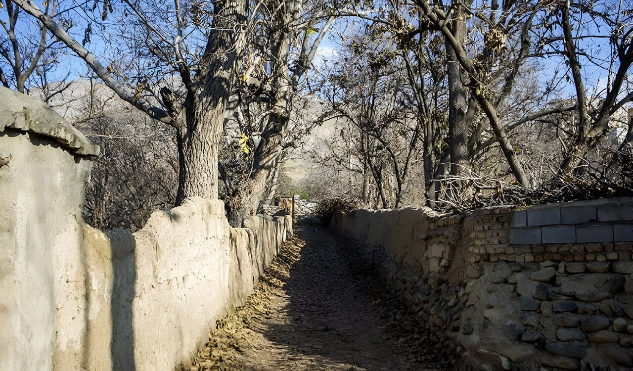 تفریح در پیچ کوچهباغهای کن