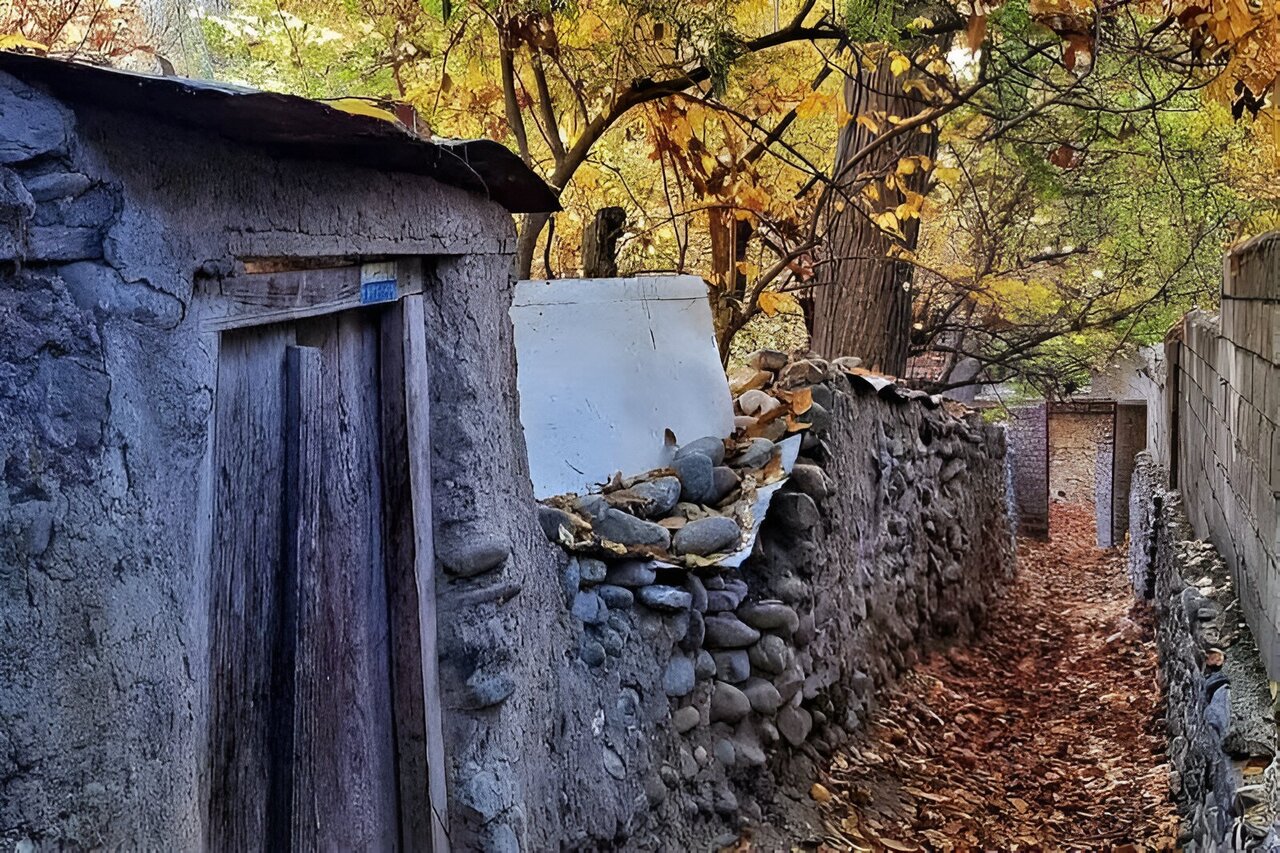 تفریح در پیچ کوچهباغهای کن