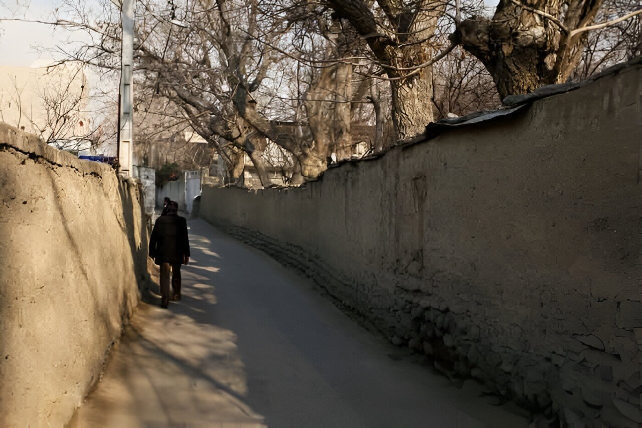 تفریح در پیچ کوچهباغهای کن