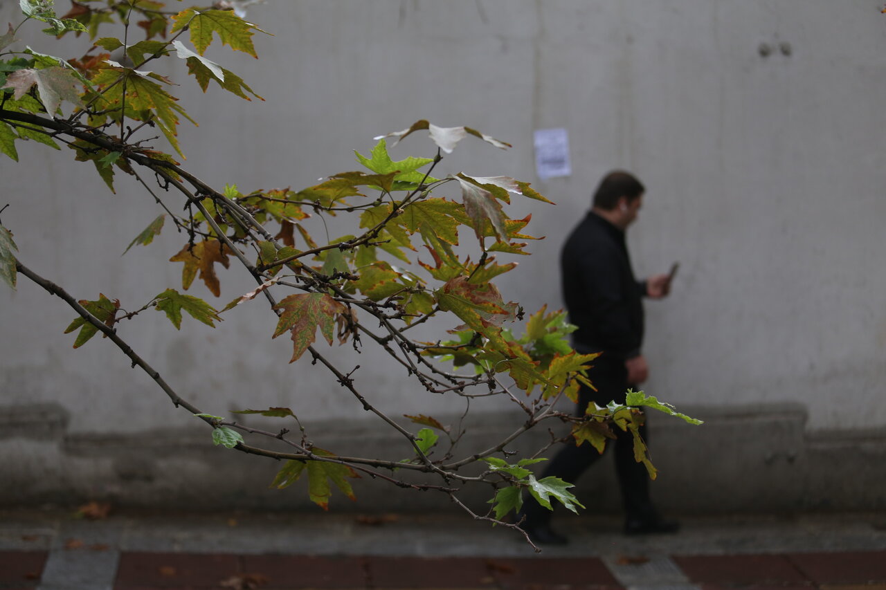 تصاویری از دل انگیزترین حالت تهران