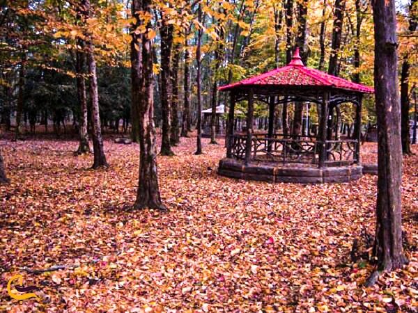 برای گردشهای دو نفره و عاشقانه با همسر یا نامزدتان به این لوکیشنهای زیبای تهران بروید