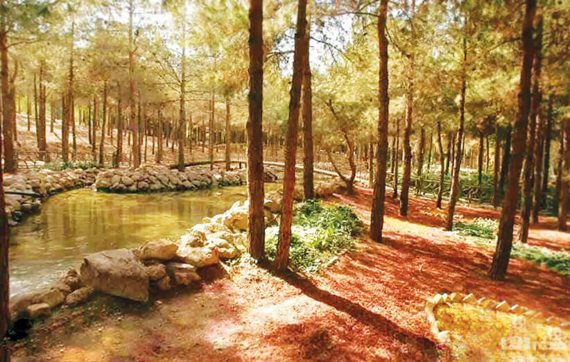 برای گردشهای دو نفره و عاشقانه با همسر یا نامزدتان به این لوکیشنهای زیبای تهران بروید