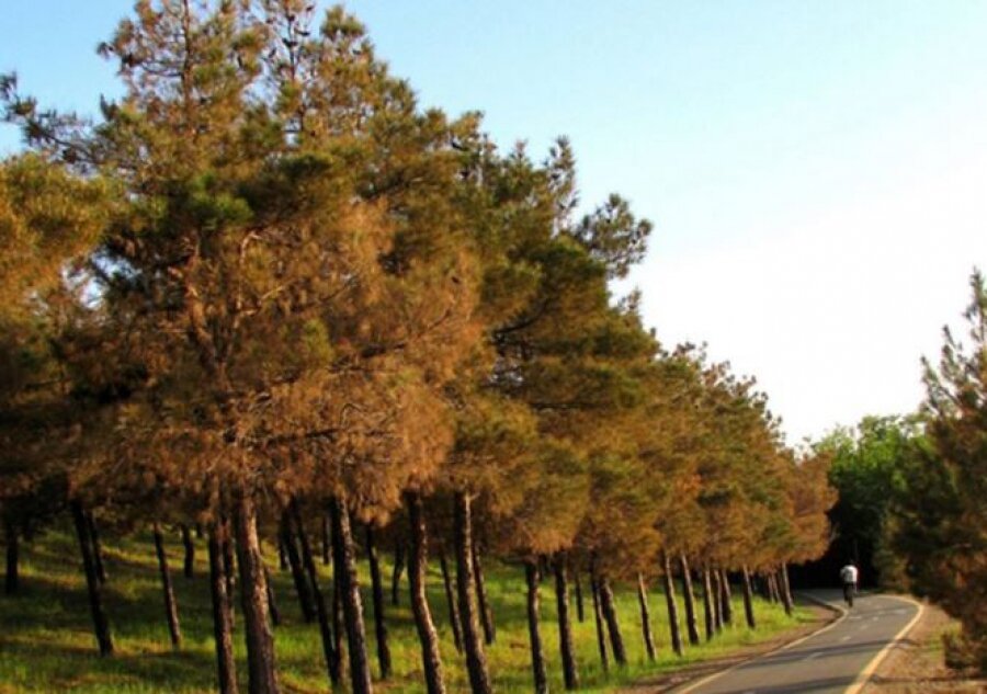 برای گردشهای دو نفره و عاشقانه با همسر یا نامزدتان به این لوکیشنهای زیبای تهران بروید