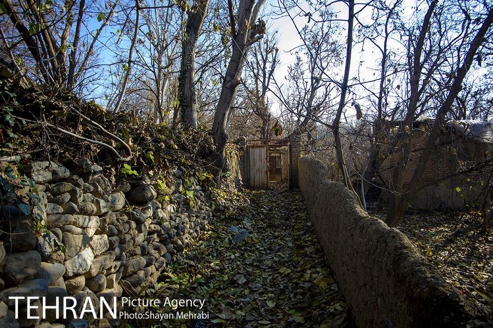 گشت و گذار در باغهای پاییزی کن