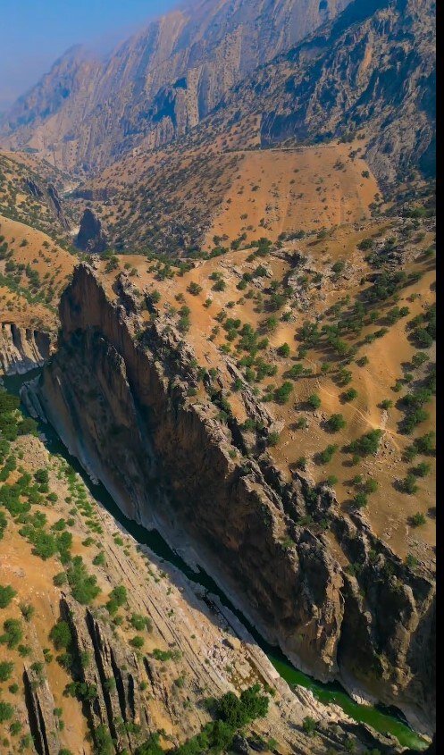 پای سیاه در لردگان