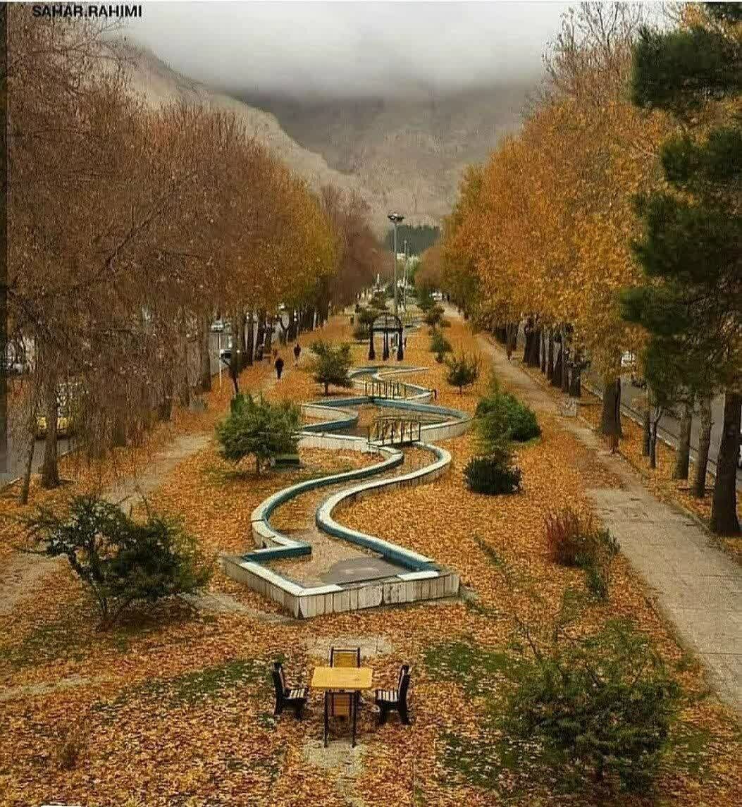 اینجا طولانیترین بلوار جنگلی ایران است | چهره پاییزی این بلوار را ببیند