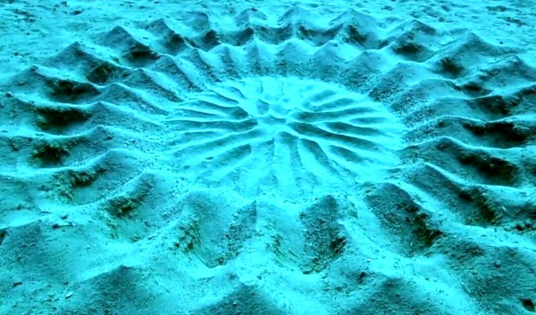 شاهکارهای معماری در طبیعت