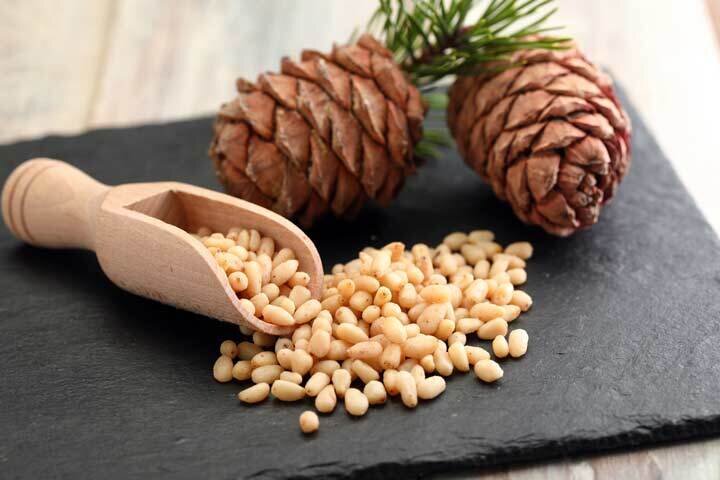 چلغوز چیست و چه خواصی دارد ؟ | هر آنچه باید در مورد گیاه چلغوز بدانید