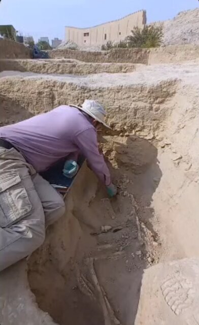 کشف اسکلت در تپه ۷۰۰۰ ساله چشمه علی ری + عکس