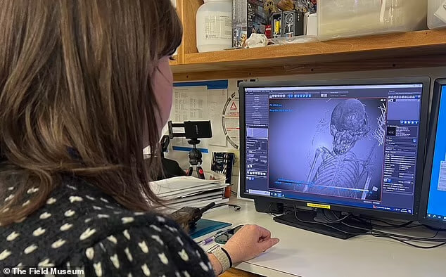 راز مومیایی بانوی ۳۰۰۰ ساله مصری