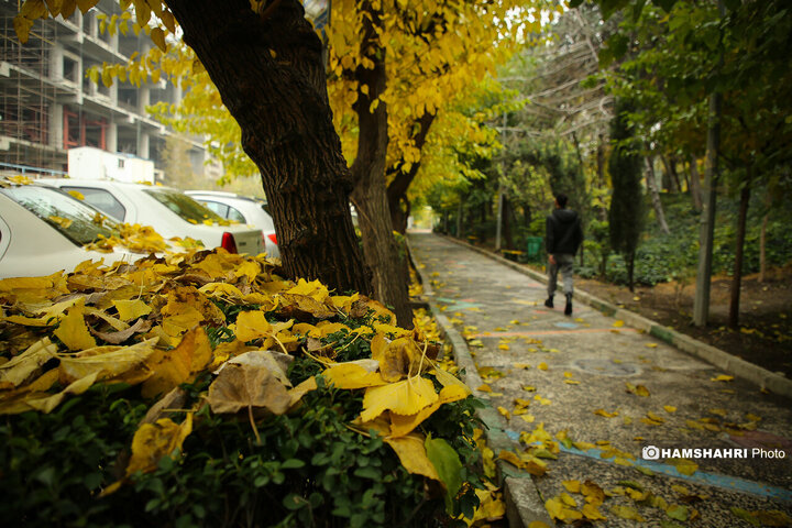 تصاویر زیبای بارش باران پاییزی در تهران