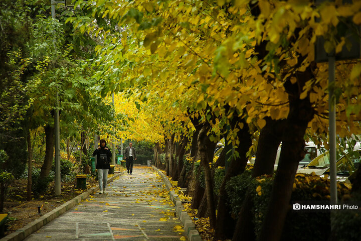 تصاویر زیبای بارش باران پاییزی در تهران