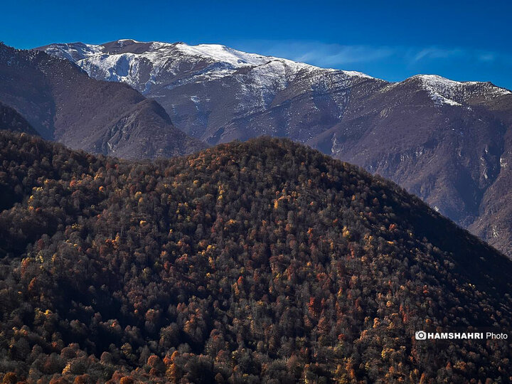 تصاویر زیبای جنگل واز آمل