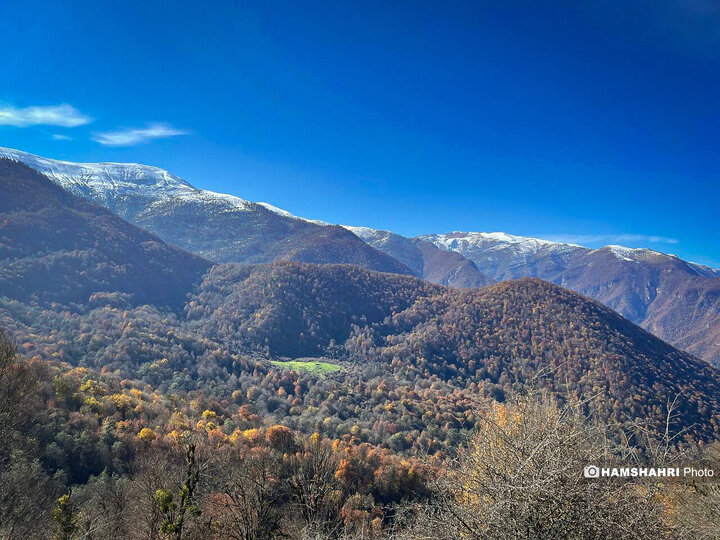 تصاویر زیبای جنگل واز آمل