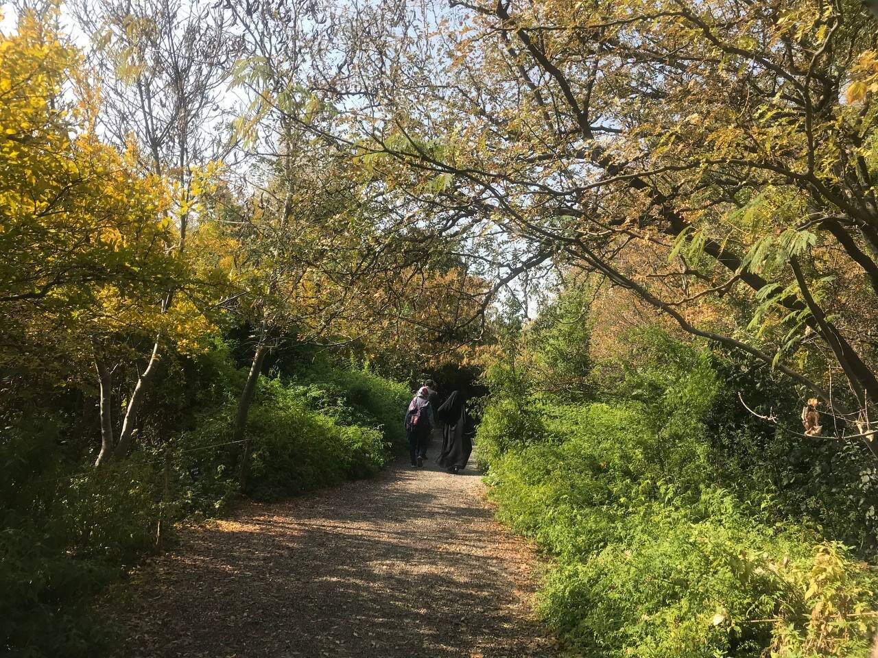 گشت و گذار از ارتفاعات جنگلی خزر تا باغ میوه های بومی