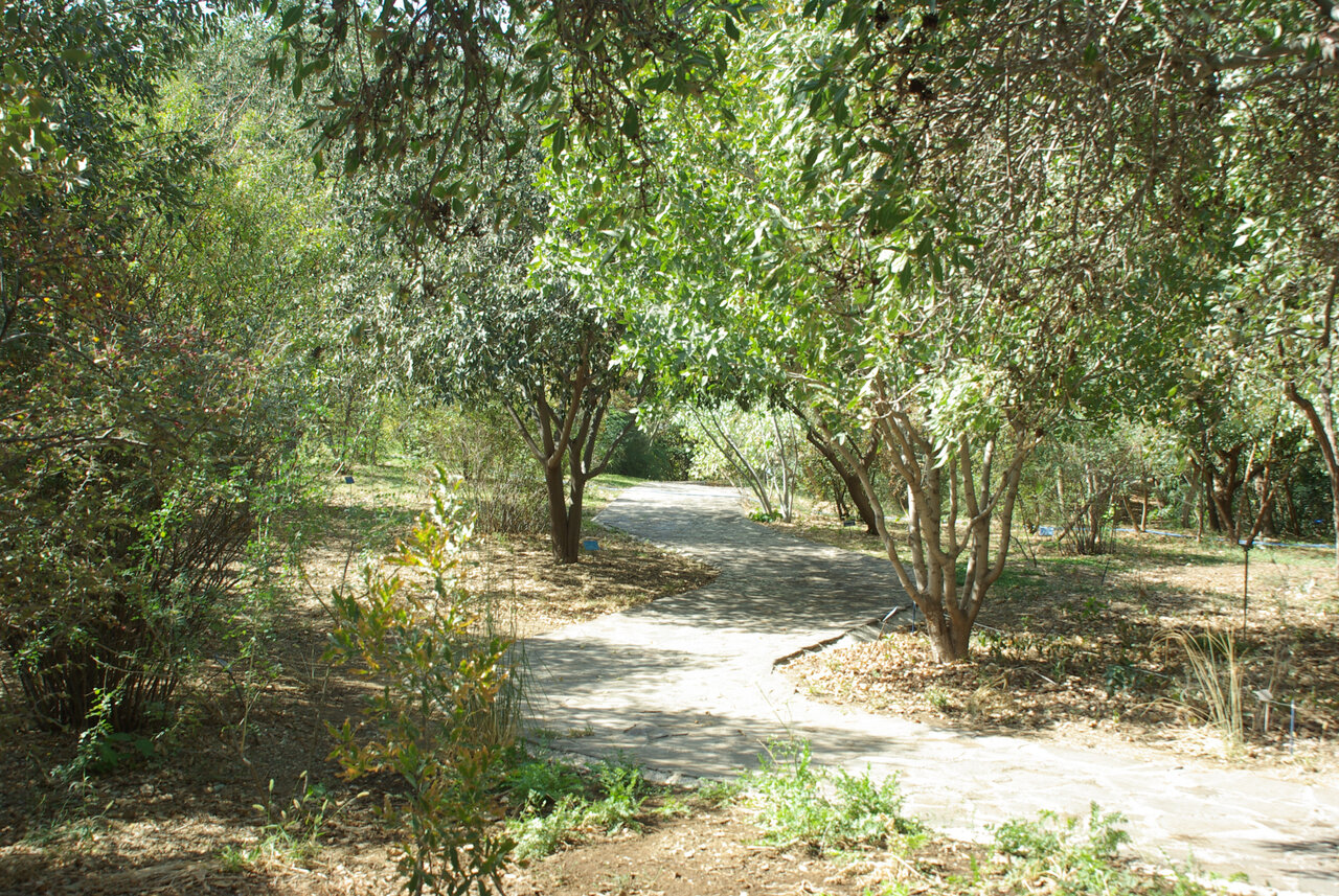 گشت و گذار از ارتفاعات جنگلی خزر تا باغ میوه های بومی