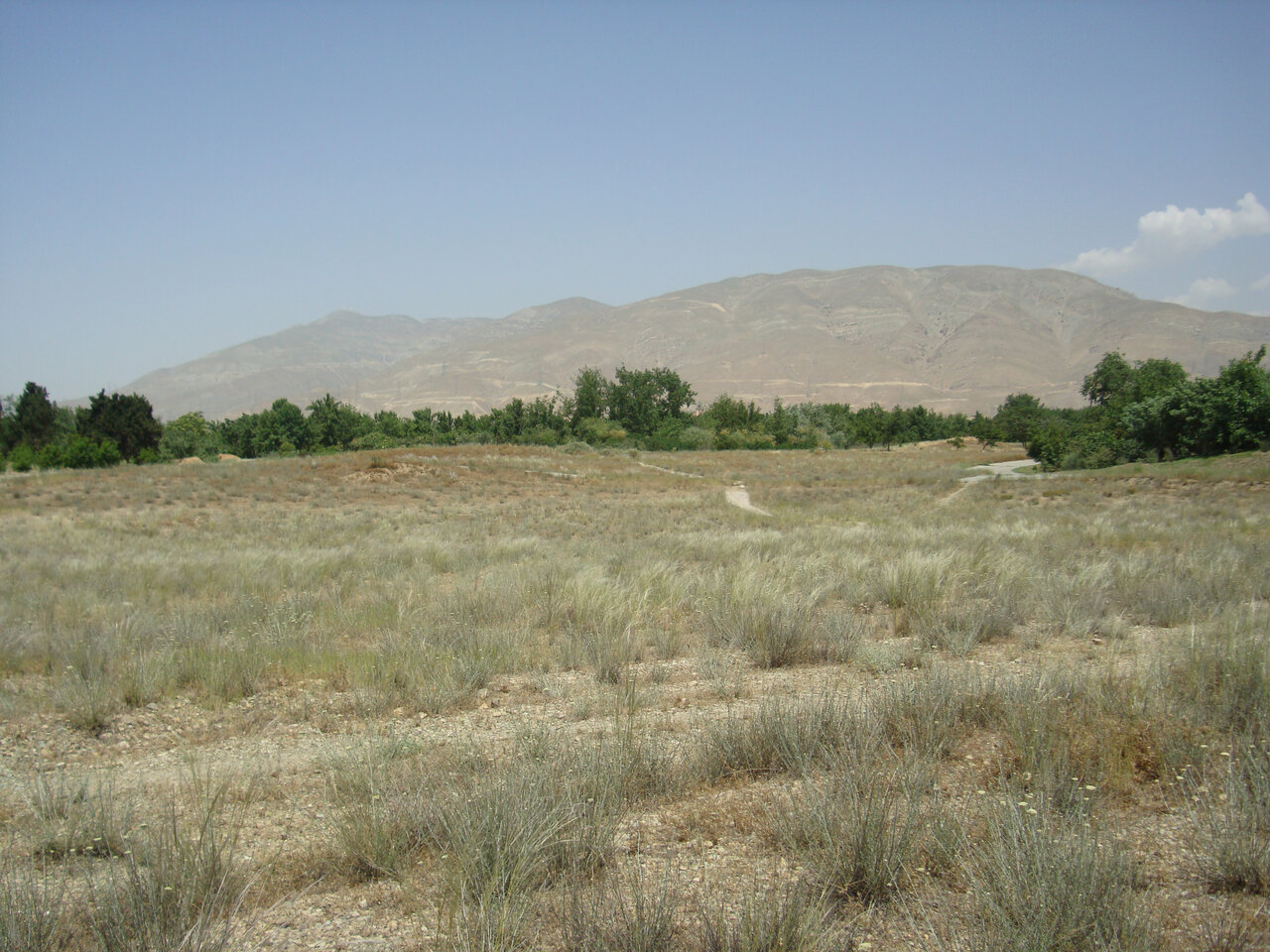 گشت و گذار از ارتفاعات جنگلی خزر تا باغ میوه های بومی