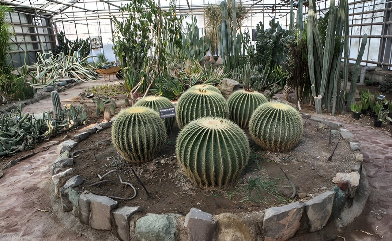 گشت و گذار از ارتفاعات جنگلی خزر تا باغ میوه های بومی