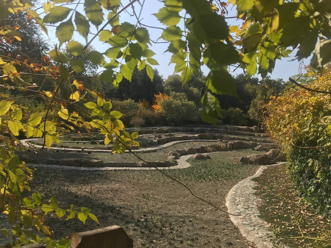 گشت و گذار از ارتفاعات جنگلی خزر تا باغ میوه های بومی