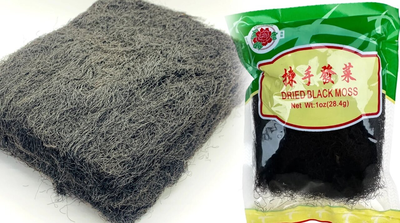 عجیبترین غذای خیابانی که شبیه تودهای از موی انسان است + عکس