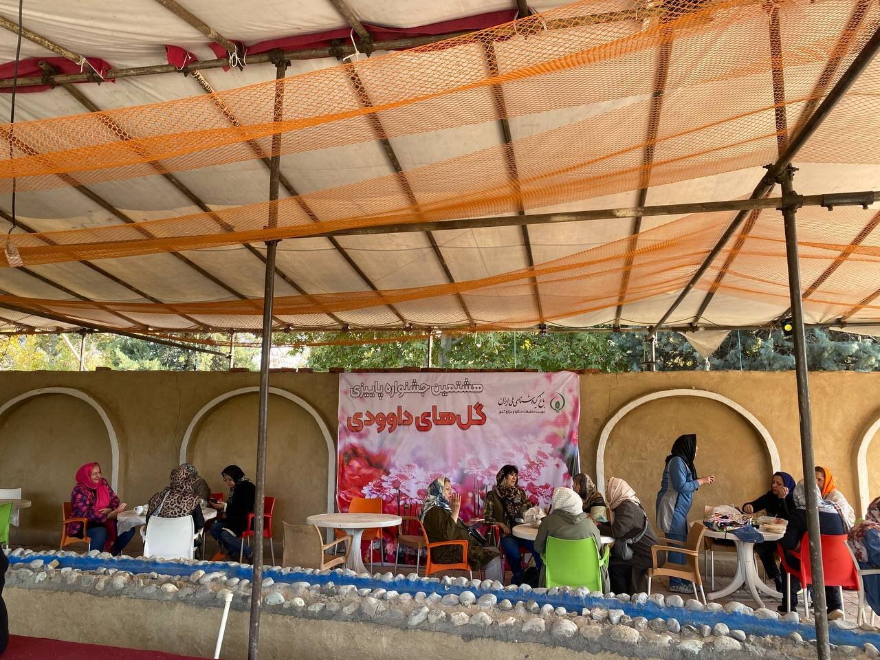 بازدید رایگان از جشنواره گلهای داوودی و نمایشگاه محصولات محلی