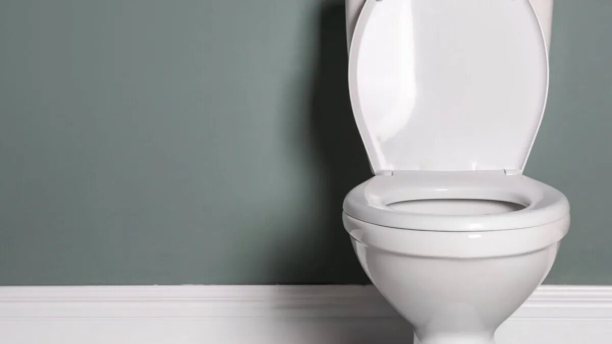 چقدر باید روی توالت فرنگی نشست؟ ؛ مضرات نشستن طولانی در توالت