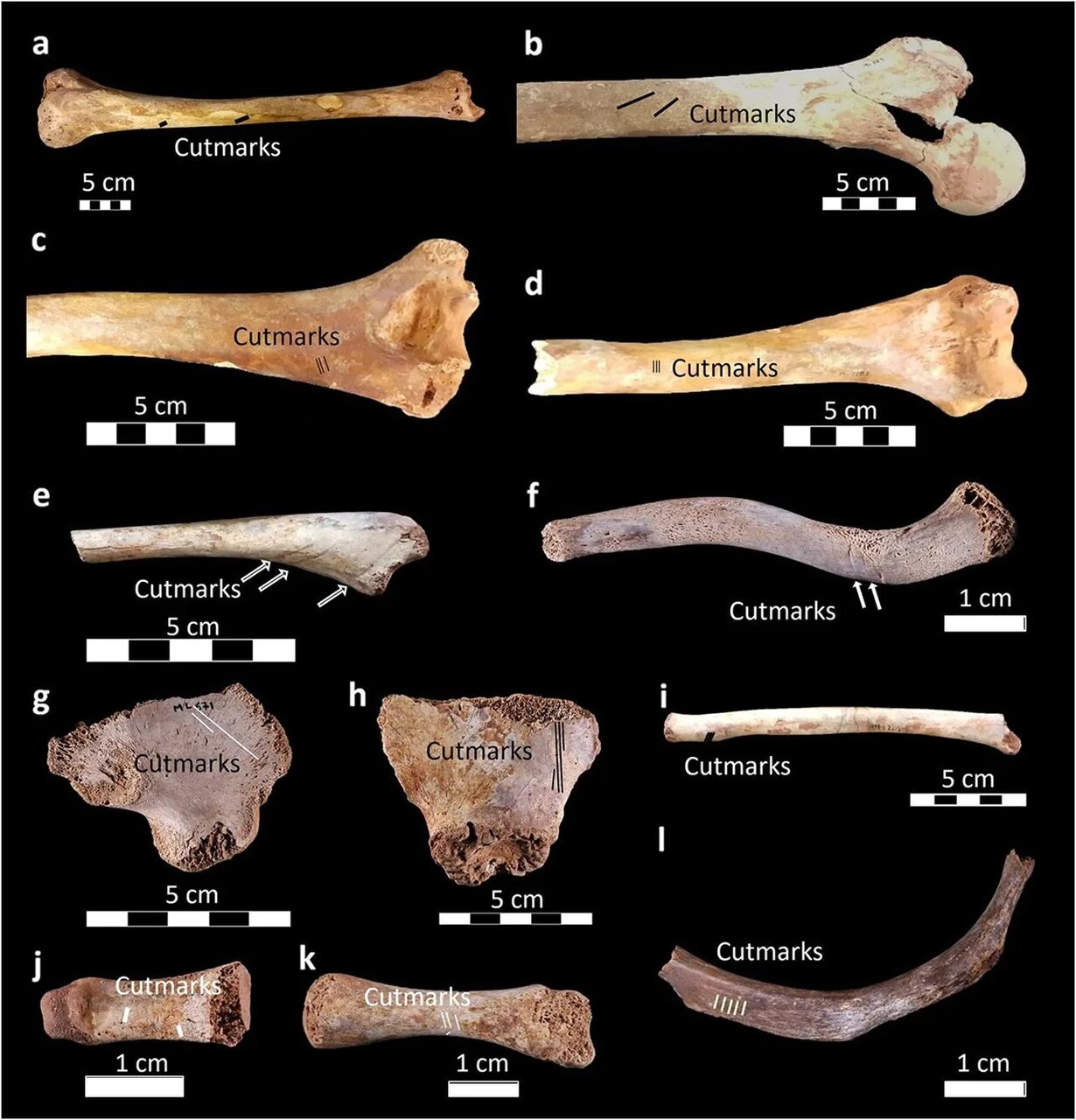 نخستین شواهد باستانشناسی از مومیایی کردن دقیق