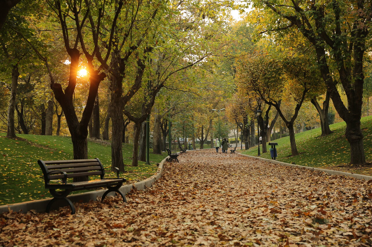 پاییز میهمان تهران باشید | معابر و پارک های پاییزی برای قدم زدن را بشناسید پاییز