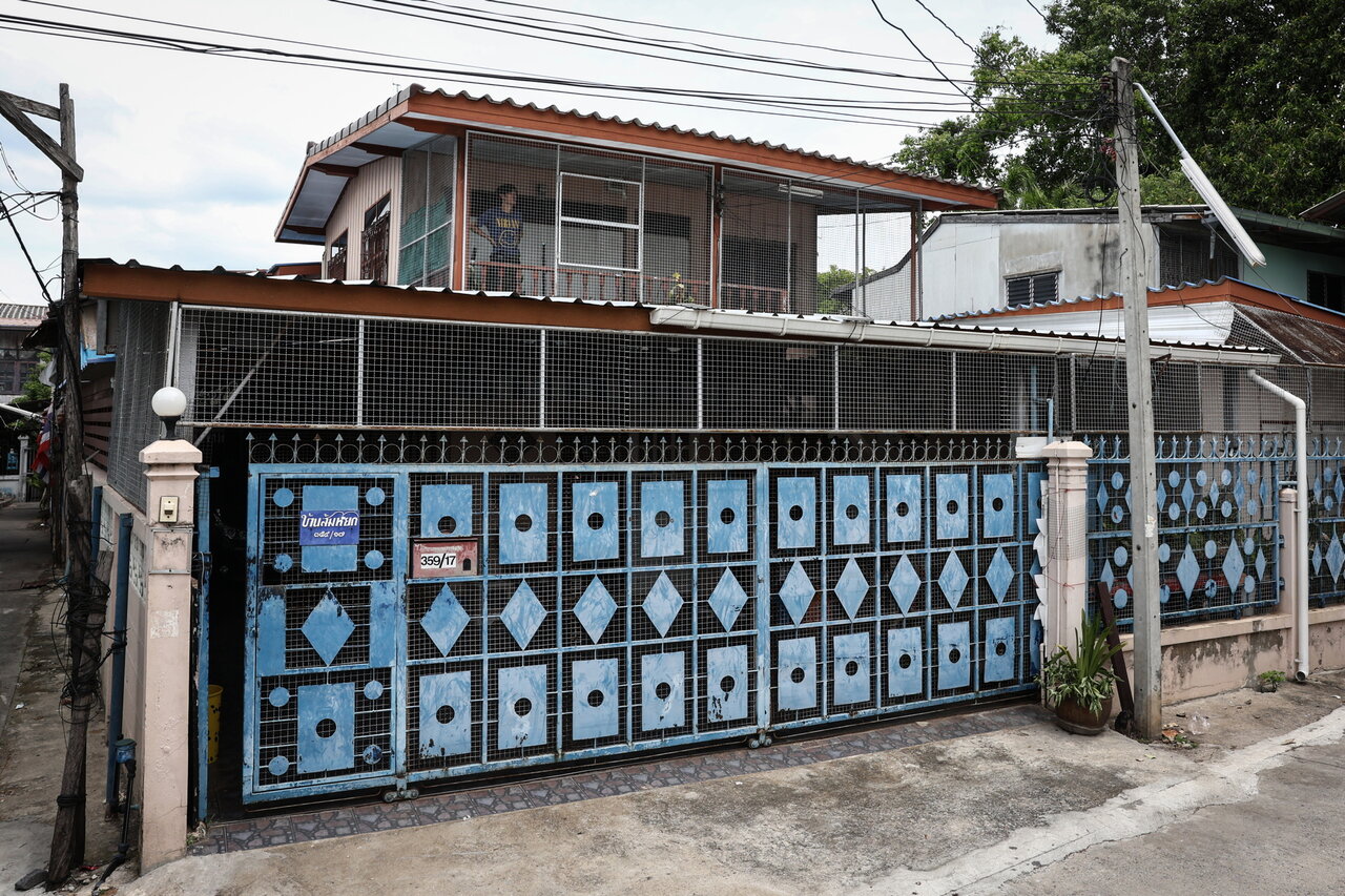 میمونها پاسگاه پلیس را فتح کردند