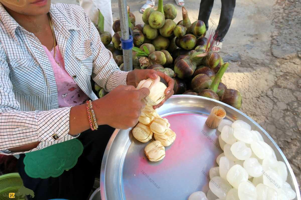 پالمیرا؛ سوپر میوه‌ای برای درمان چاقی