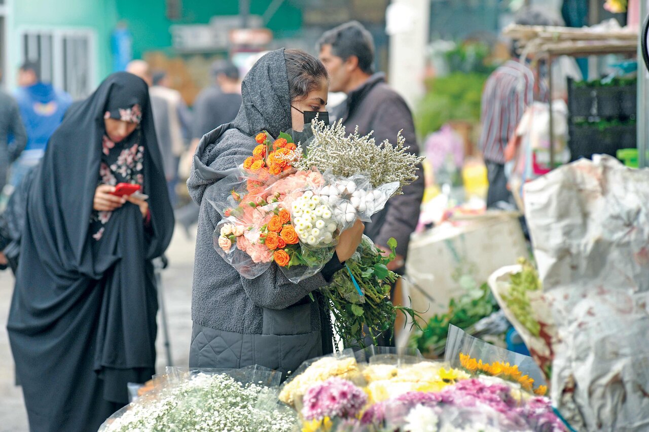 چه گیاهانی مناسب فصل سرما هستند و از کجا می توان آنها را خرید؟