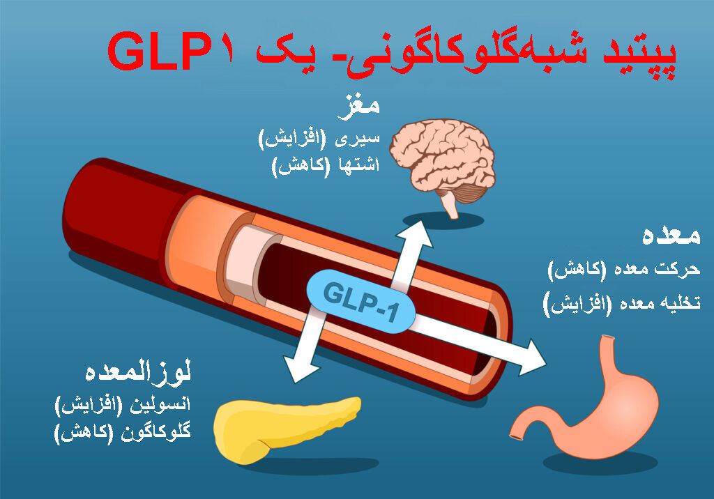 داروهای جدید دیابت و لاغری چطور عمل میکنند؟
