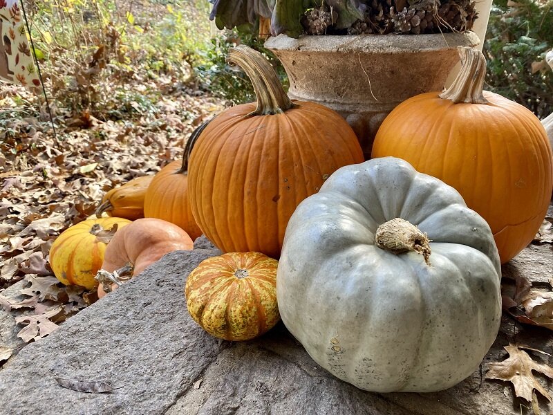 این خوراکیها را هیچوقت خام نخورید !