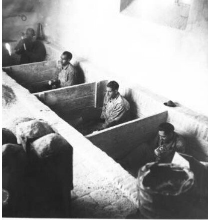 کتیبهسازها در خیابان الماسیه تهران چه میکردند؟