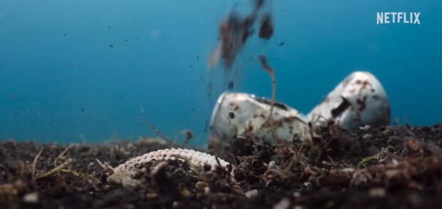 شلیک اختاپوس نابغه به سمت ماهیها !