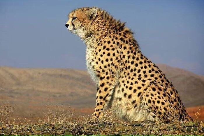 ورود سردچال قطبی به ایران | مردم این مناطق آماده برف و بوران شدید باشند