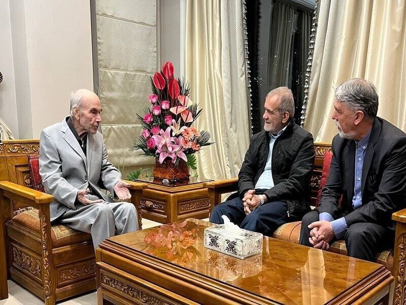 دیدار رئیسجمهور و استاد فلسفه | تصاویر