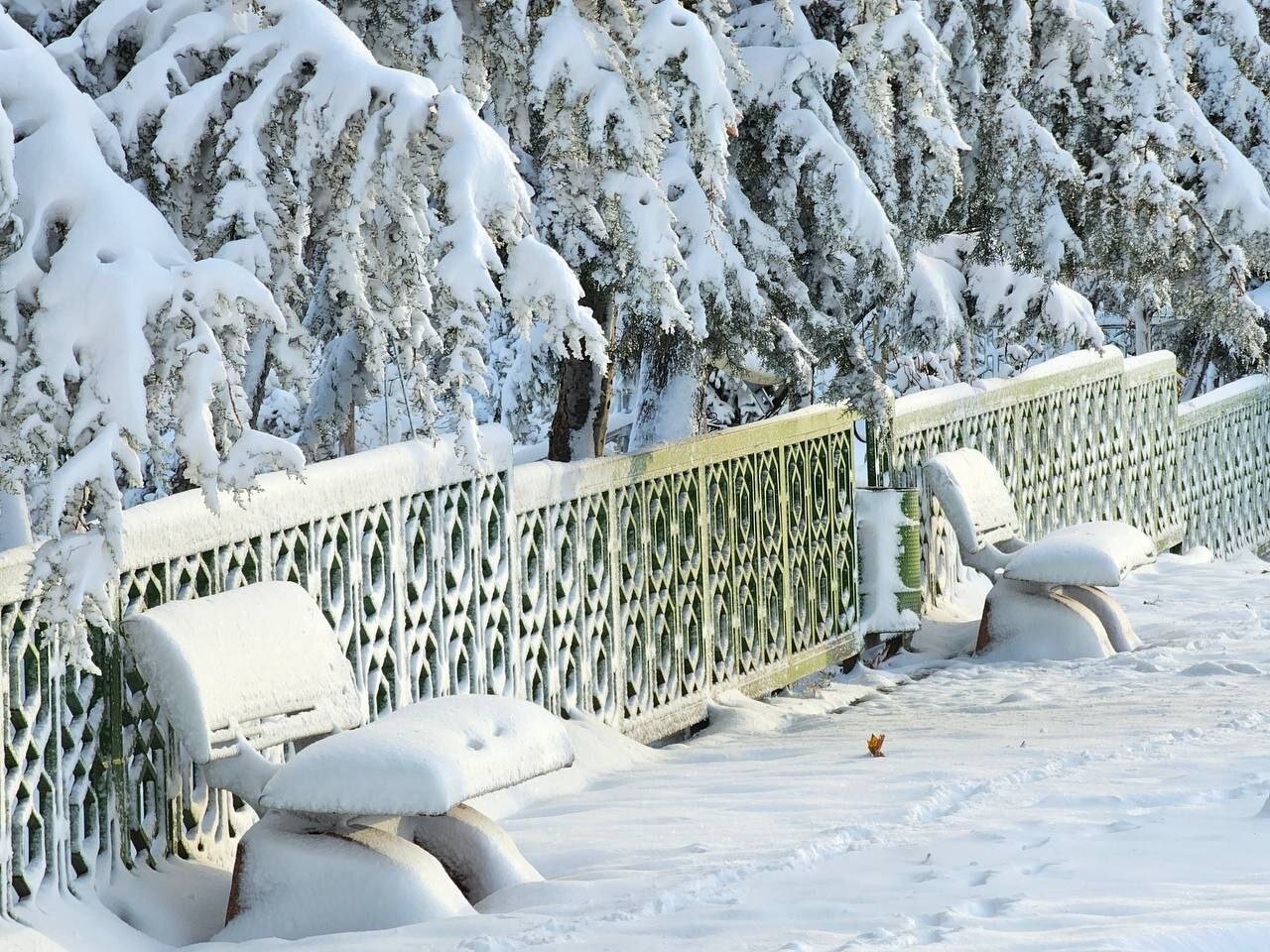 بارش شدید برف و یخبندان در مرز تمرچین | تصاویر