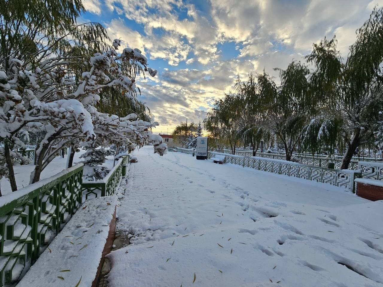 بارش شدید برف و یخبندان در مرز تمرچین | تصاویر