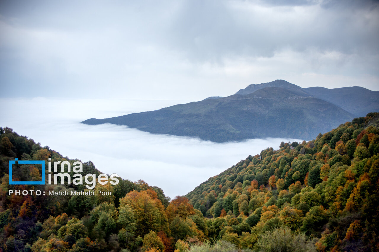 در فصل زمستان کجای شمال سفر کنیم ؟ | بهترین شهرهای گیلان و مازندران برای سفر در زمستان