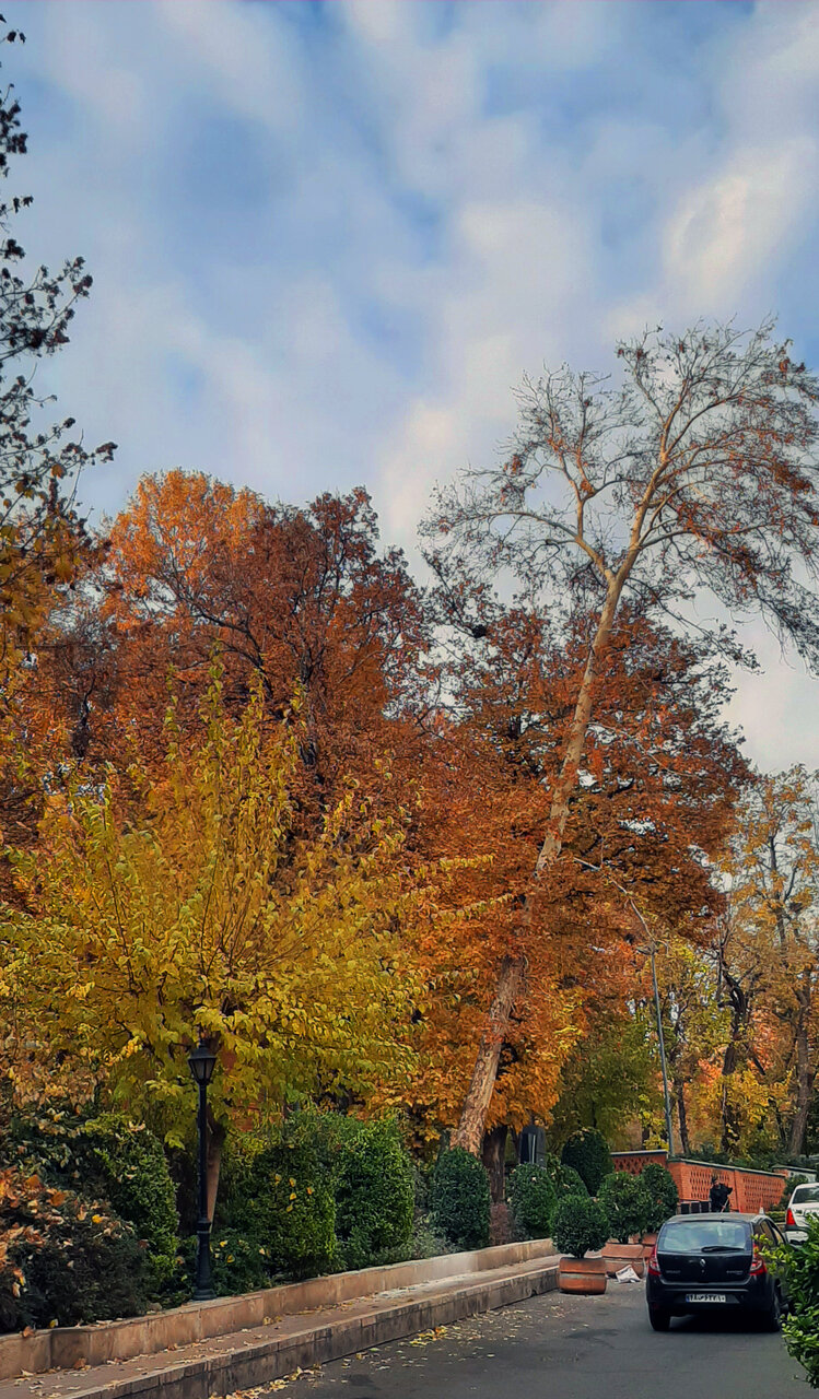 چراغهای خرمالویی تهران در باغ ایرانی