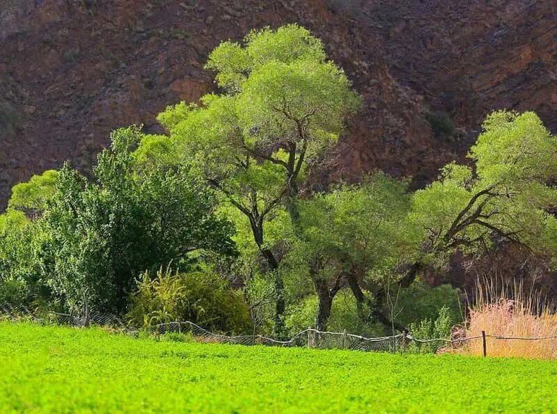 روستای کوهپایه؛ ییلاقی خوش آب و هوا در کرمان