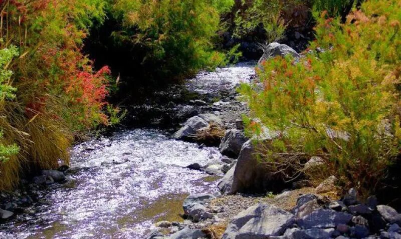 روستای کوهپایه؛ ییلاقی خوش آب و هوا در کرمان