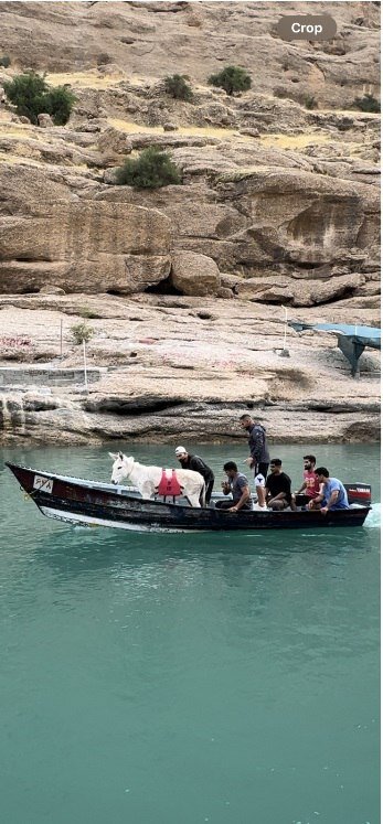 پشتپرده کلیپ نجات یک الاغ که جنجالی شد| عملیات ویژه برای نجات الاغ سرگردان