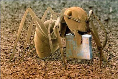 تصاویری از غیرقابل مشاهدهترین بخشهای زندگی