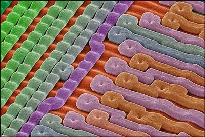 تصاویری از غیرقابل مشاهدهترین بخشهای زندگی