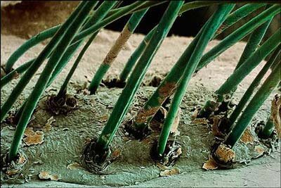 تصاویری از غیرقابل مشاهدهترین بخشهای زندگی